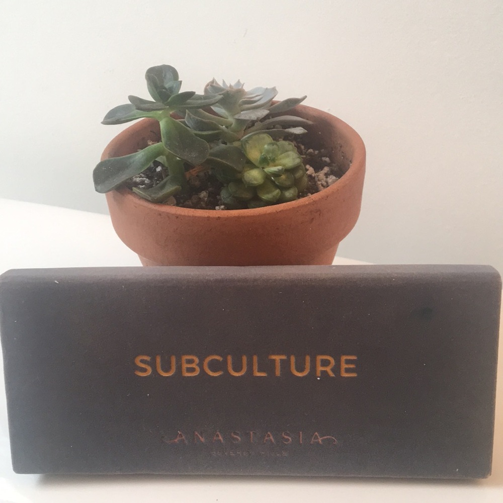 Anastasia Beverly Hills | Subculture palette